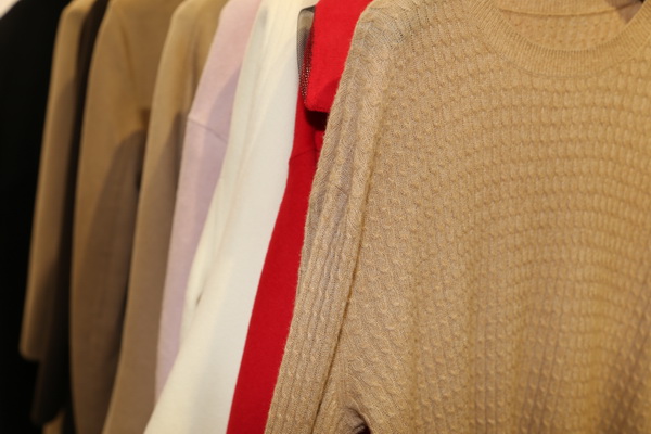 &ldquo;絲駝&rdquo;又一鐘情于駝絨產(chǎn)業(yè)的企業(yè)，綻放2023intertextile