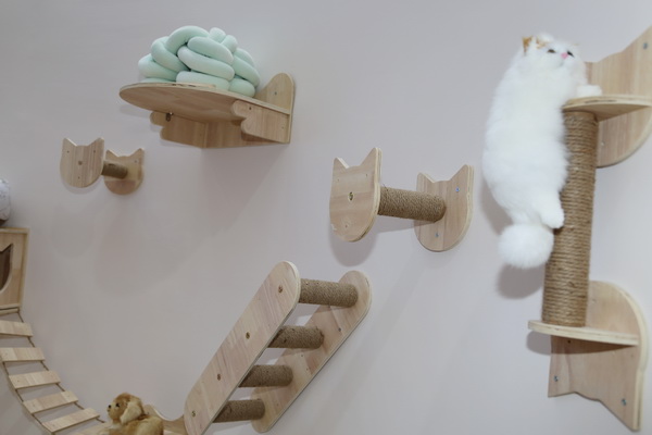 眾地家紡發(fā)力寵物用品， 倍受日商青睞