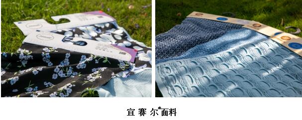 詮釋竹風(fēng)雅韻，&ldquo;纖&rdquo;動(dòng)綠色風(fēng)尚！絲麗雅系列產(chǎn)品品牌即將于柯橋發(fā)布