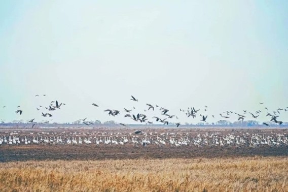  善議2024：綠色邊界與新質生產(chǎn)力