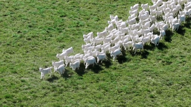  善議2024：綠色邊界與新質生產(chǎn)力