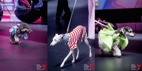 柯橋時(shí)尚綻放高光！20場(chǎng)品牌發(fā)布會(huì)傳遞原創(chuàng)設(shè)計(jì)之美