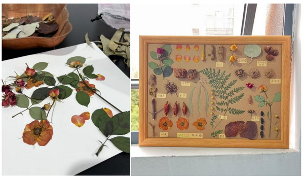 自然印記&mdash;染夏工坊課程招生！