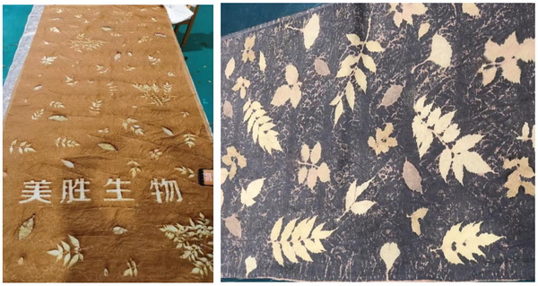 自然印記&mdash;染夏工坊課程招生！