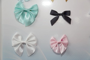  中華紡織網(wǎng)面輔料展區(qū)成功舉辦推介會，新材料、新工藝 助力興城泳裝產(chǎn)業(yè)升級