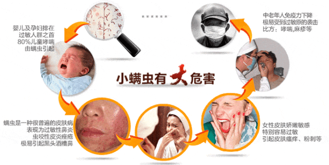 防螨！已成為健康的&ldquo;新剛需&rdquo;--武漢時(shí)間科技推出紡織品防螨整理劑喜化&reg;植螨零