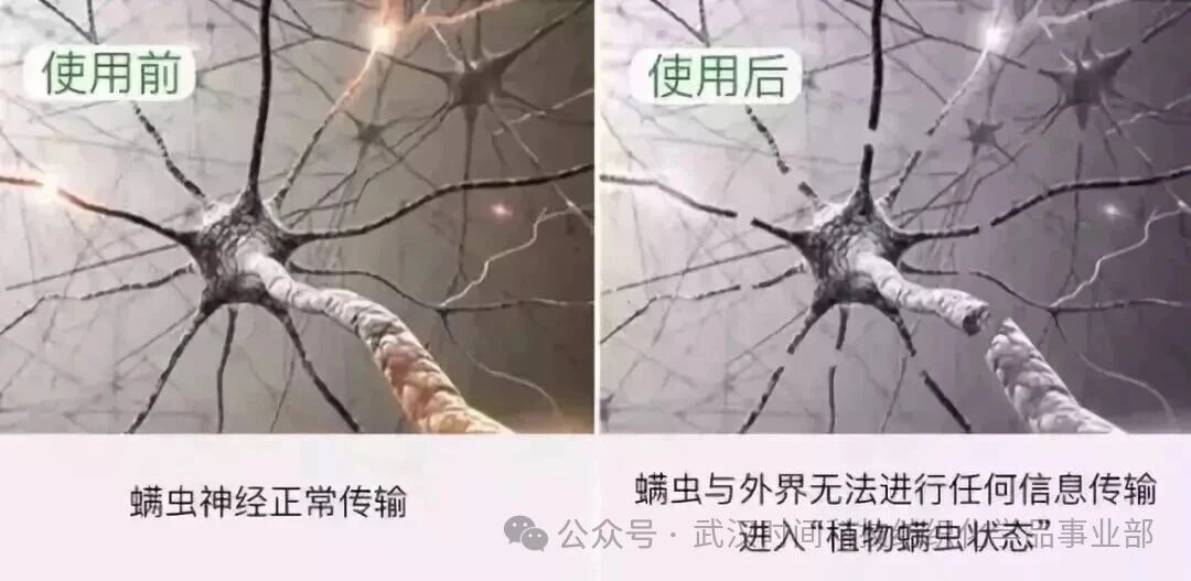  防螨！已成為健康的&ldquo;新剛需&rdquo;--武漢時(shí)間科技推出紡織品防螨整理劑喜化&reg;植螨零