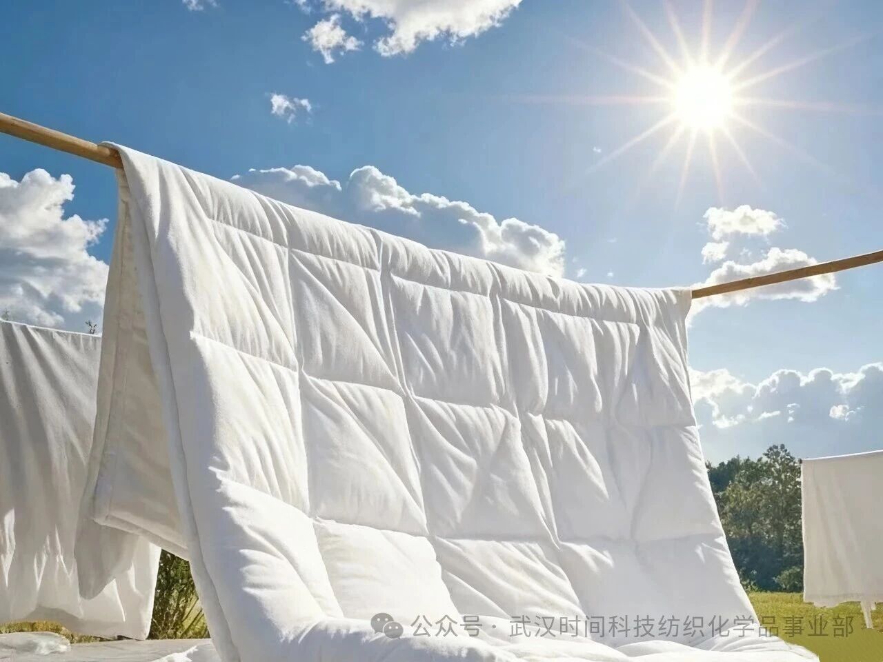 防螨！已成為健康的&ldquo;新剛需&rdquo;--武漢時(shí)間科技推出紡織品防螨整理劑喜化&reg;植螨零