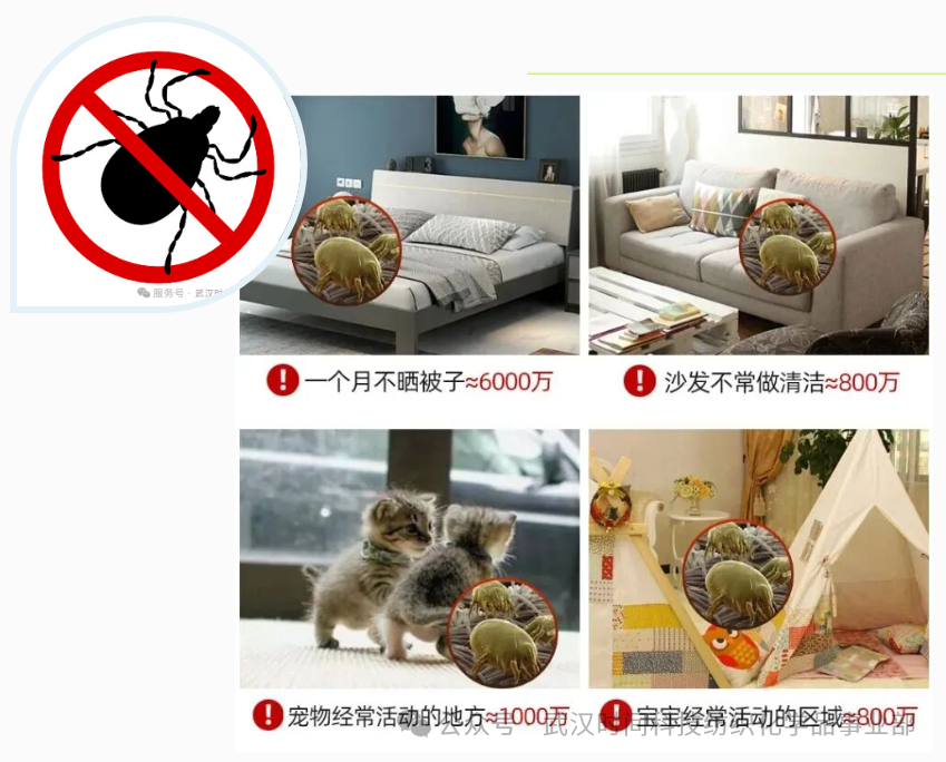防螨！已成為健康的&ldquo;新剛需&rdquo;--武漢時(shí)間科技推出紡織品防螨整理劑喜化&reg;植螨零